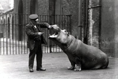 Een verzorger, Ernie Bowman, en Bobbie het nijlpaard in de London Zoo, 1923 door Frederick William Bond